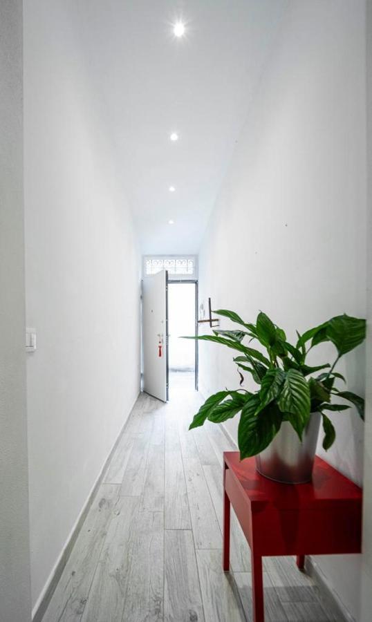 佛罗伦萨Puccinotti House公寓 外观 照片